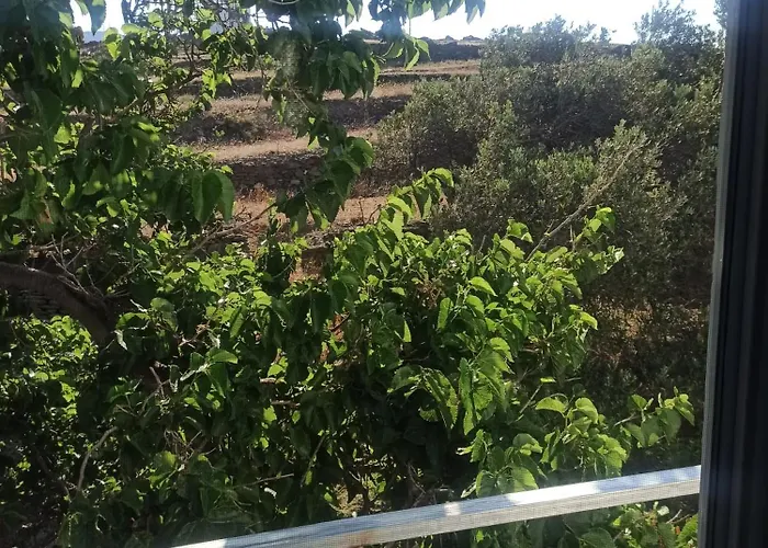 Kleris 11 Daire Tínos